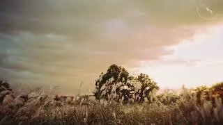 MOMENT #9 언덕 위의 억새밭 sunset over silvergrass | 멍때리기 좋은 피아노 연주곡 | dive into the MOMENT