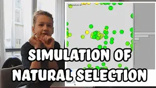 Simulation of Natural Selection in p5.JS