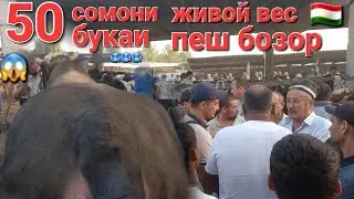 👍9 августа 2024 г.МОЛБОЗОРИ ХИСТЕВАРЗ ХУЧАНД ХУДЖАНД molbozor bozor
