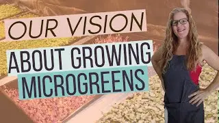 Our Microgreens Business Vision | scMicroGro