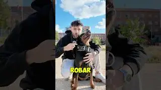 MY DOG SAVED ME FROM BEING ROBBED 