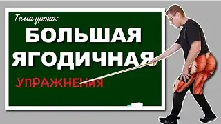 Упражнения для стабилизации таза и поясницы!