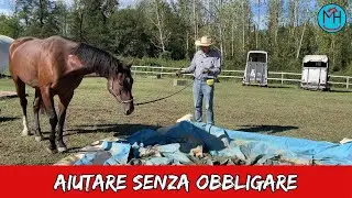 Impara ad aiutare senza obbligare il tuo cavallo