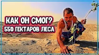 УРОВЕНЬ ЖИЗНИ - КАК ЧЕЛОВЕК ВЫРАСТИЛ 550 ГЕКТАРОВ ЛЕСА (человек и природа)