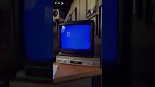 I hooked up my old VCR to watch Jurassic Park on VHS...
