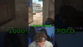 twitch: StRoGo 1000 IQ МУВ😈 