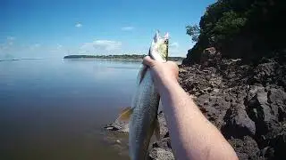Рыбалка на Амуре, Елабуга