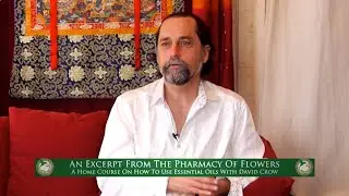 Healing Flowers - An Excerpt from A Home Course on How to Use Essential Oils