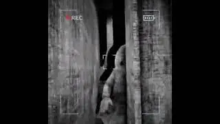 Content Warning (Funny)