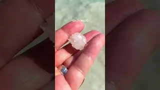 Salty Magic