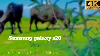 Samsung galaxy s20 FE Cinematic Video Test