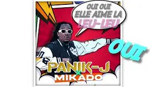 PANIK J X @mikado972  - À La Queue Leu Leu - (Vidéo Lyrics)
