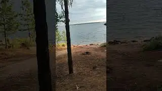 17 июля 2024 г.