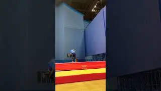Throwing Techniques||Neha Kashyap||Wushu Coach #nehakashyap #shortsyoutube  #martialarts #wushusanda