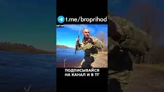 Хариус на донку это просто песня!) 