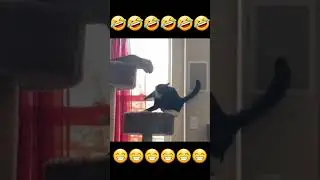 🤣🤣🤣🤣