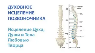 Духовное исцеление позвоночника - Исцеление Духа, души и тела любовью Творца