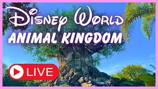 Live - Dinosaur - Animal Kingdom 3.14.2024