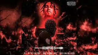 Fero Bin1 - Traptied (Official Audio)