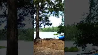 уехал в лес #лето #лес #озеро #каяк #лето2024 #наприроде #мапед #панк
