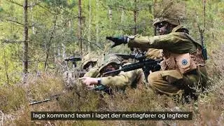 Tre kurs samtidig