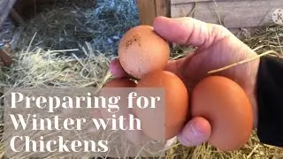 Preparing for Winter #2: Chicken Care