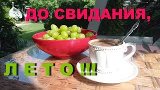 ДО СВИДАНИЯ, ЛЕТО!!!