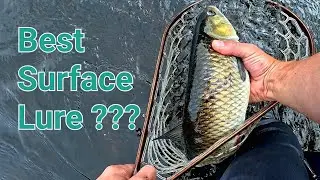 Best Surface Lure for Giant Pike and Giant Chub ???