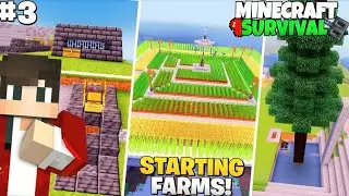I Made Every Starting Farms🤩 In Minecraft Survival Part-3 [HINDI]