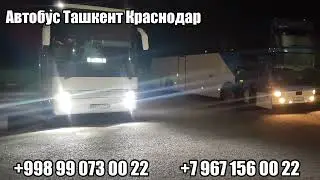 ташкент-краснодар автобус 