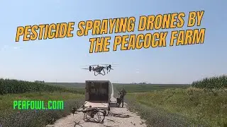 Pesticide Spraying Drones By The Peacock Farm, Peacock Minute, peafowl.com