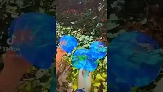 ШАРИКИ ИЗ СКОТЧА.🙀😁ПУЗЫРИ ИЗ СКОТЧА 🤯.ТУТОРИАЛ .ТРЕНДЫ / ТИК ТОК. 
