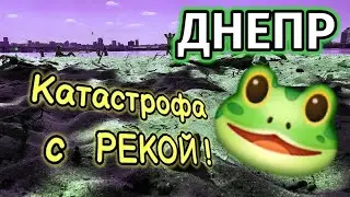 Днепр🤢Катастрофа С РЕКОЙ 🐸25 августа 2024 г.
