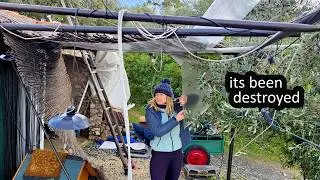 EVERYTHING DESTROYED - OFF GRID Homestead in PORTUGAL (STORM KRISTIN)