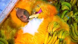 Борис Моисеев - Песня Чебурашки [2010]