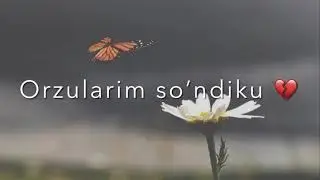 YONIB ADO BO'LMOQDA