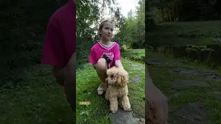 Жду своего пёсика 🐶