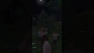 Средневековое гачи