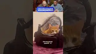 ЗАСМЕЯЛСЯ - ПОДПИСАЛСЯ! Ч01😆  ПОПРОБУЙ НЕ ЗАСМЕЯТЬСЯ!