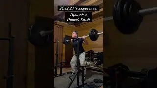 Осваиваю технику приседа #присед #shorts #натураха #безфармы