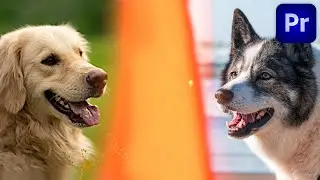 How To Make a LIGHT LEAK Transition in Premiere Pro