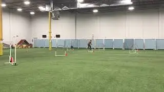 Hoopers on Feb 15 2020