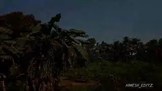 My second vlog ( Deep inside the forest)