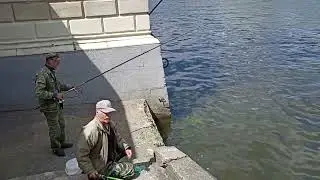 г.Калининград 2023