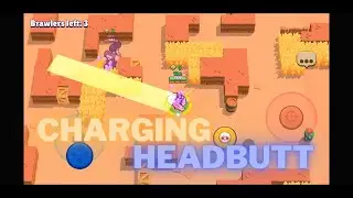 Bull's headbutt challenge!!