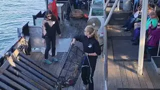 Bering Sea Crab Fisherman's Tour (Video #3)