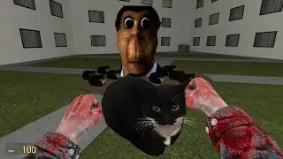 obunga and angry maxwell the cat chased me in the hotel