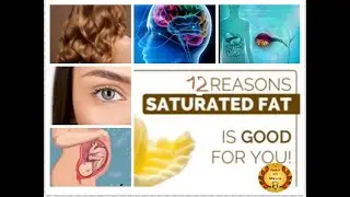 12 reasons why we should eat animal saturated fat!