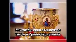 Как хлеб и вино становятся Телом и Кровью Христовой.