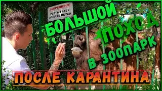 ЗООПАРК ЛИМПОПО/ НИЖНИЙ НОВГОРОД 2020